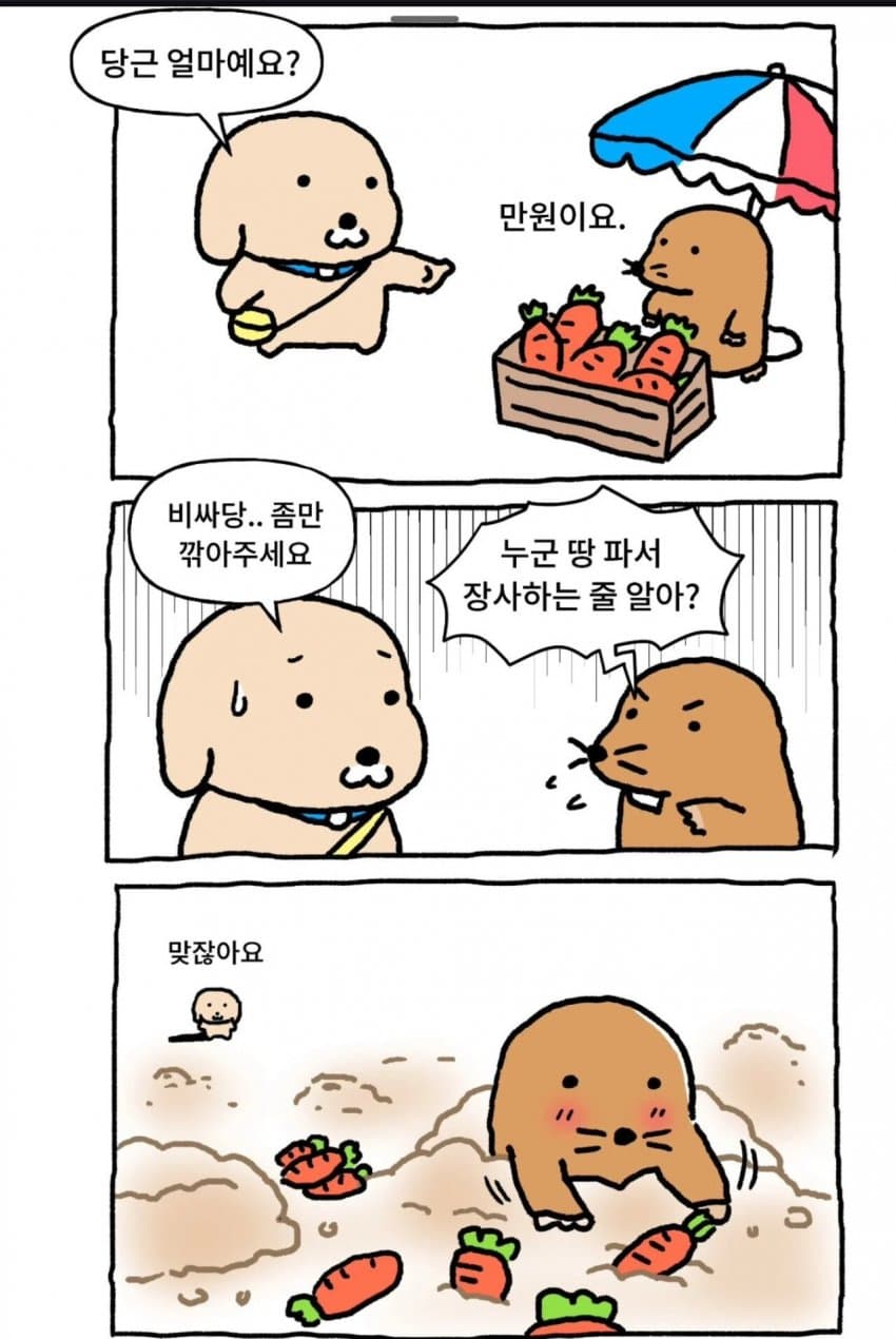 말장난 유우머 모음 | 인스티즈